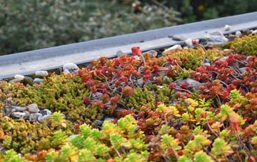 the cost of Great Finborough green roof installation