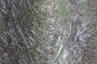 Great Finborough fibreglass roof work